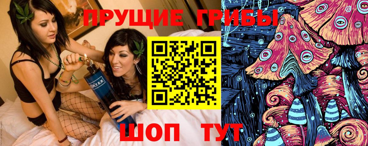 Галлюциногенные грибы Psilocybine cubensis Рассказово